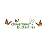 cloverlawnbflies