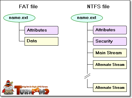 ntsf-ve-fat.png