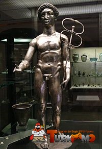 168599.jpg