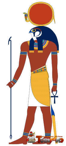 455454545454.png
