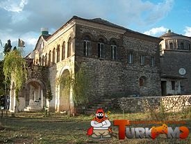 6567.jpg