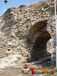 21648a.jpg