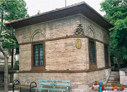 77.jpg