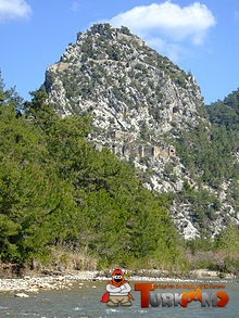 220px-Tuerk41.jpg