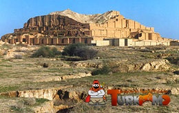 54.jpg