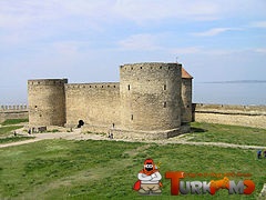 5cdb29.jpg