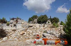 65.jpg