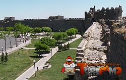 77.jpg