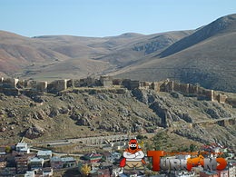 778.jpg