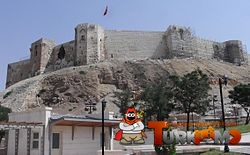 887.jpg