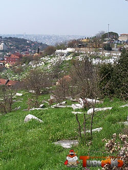 Nakkastepe_Jewish_Cemetery.jpg