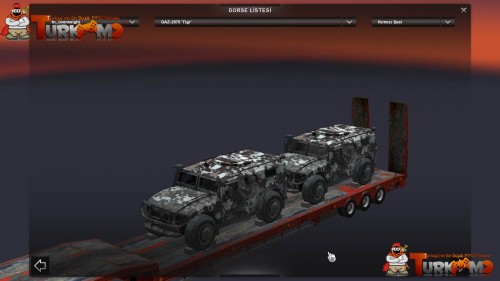 tmets49.jpg