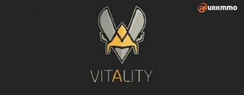 vitality-817x320.jpg