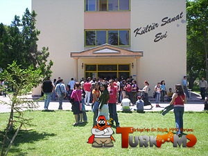 77.jpg