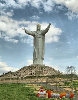 1111.jpg