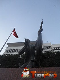 1233666.jpg