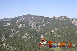111.jpg