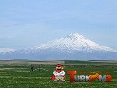 116326.jpg