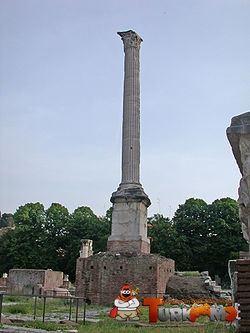 1967b5.jpg