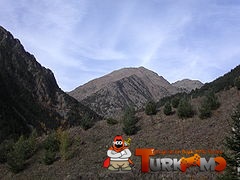 240px-Comapedrosa01.jpg
