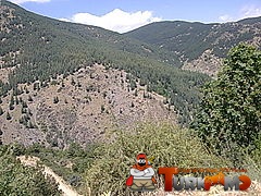 240px-Goruntu050.jpg