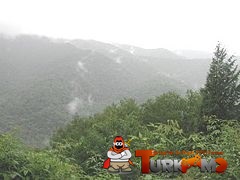 240px-RainySmokies.jpg