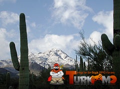 240px-Wasson.jpg