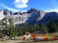 240px-Wheeler_Peak.jpg