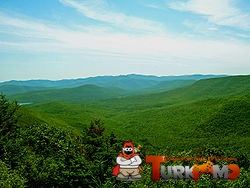 250px-Central_Catskills_from_Twin_south_summit.jpg