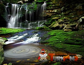 275px-Elakala_Waterfalls_Swirling_Pool_Mossy_Rocks.jpg