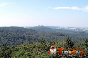 300px-Blick-uber-den-Teutoburger-Wald1.jpg