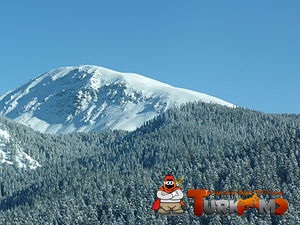 Ilgaz_35.jpg