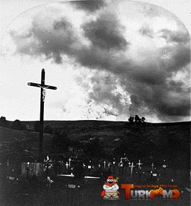 1ad1a9.jpg