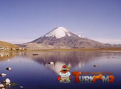 240px-Parinacota.jpg