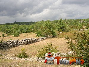 300px-Paysage_du_Causse_du_Larzac.jpg
