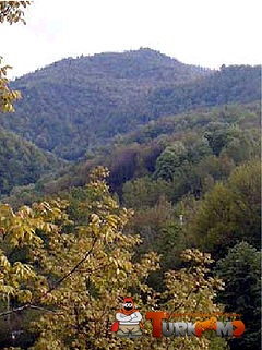 25e08f.jpg