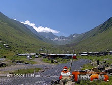 395215.jpg