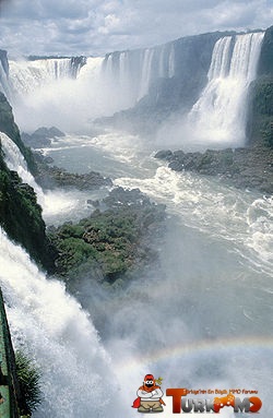 2885f4.jpg