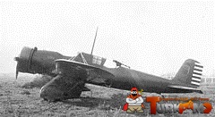 443.jpg
