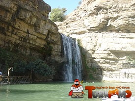 Kurd_2012_4.jpg