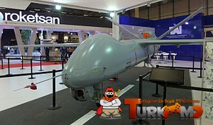 Idef15-anka_s.jpg