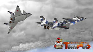 Mig_1-44-2.png