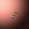 05020_big.png