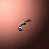 05040_big.png