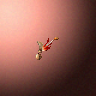 05050_big.png