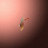 05070_big.png