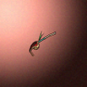 05120_big.png