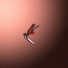 05130_big.png