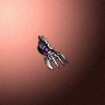 06040_big.png