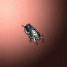 06050_big.png